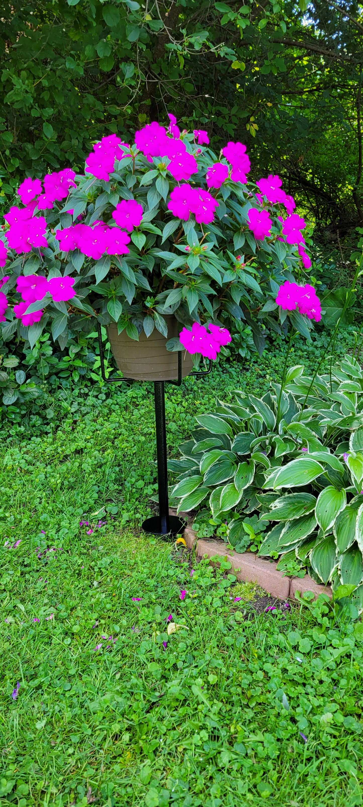 #102 - Plant Stand