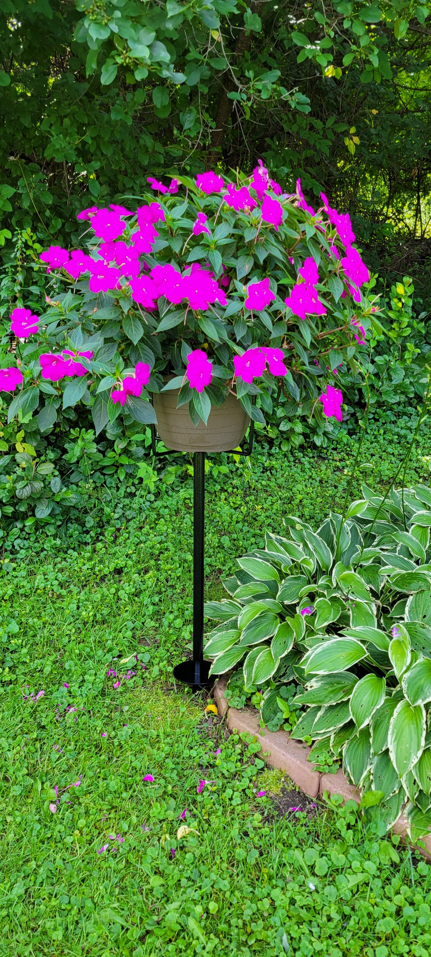 #101 - Plant Stand